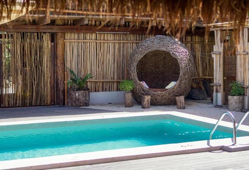 キングサイズベッドのスタンダードルーム, Jungla Y Estrellas