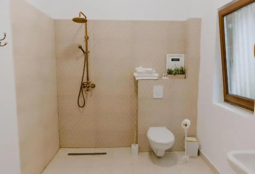 اتاق استاندارد با تخت بزرگ برای معلولان, La Fontaine