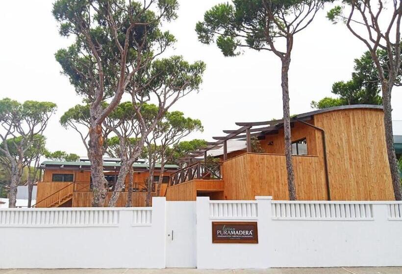 آپارتمان 1 خوابه همکف, Nuevos Apartamentos Biopasivos Living Pura Madera