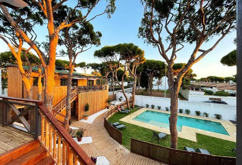 آپارتمان 1 خوابه همکف, Nuevos Apartamentos Biopasivos Living Pura Madera