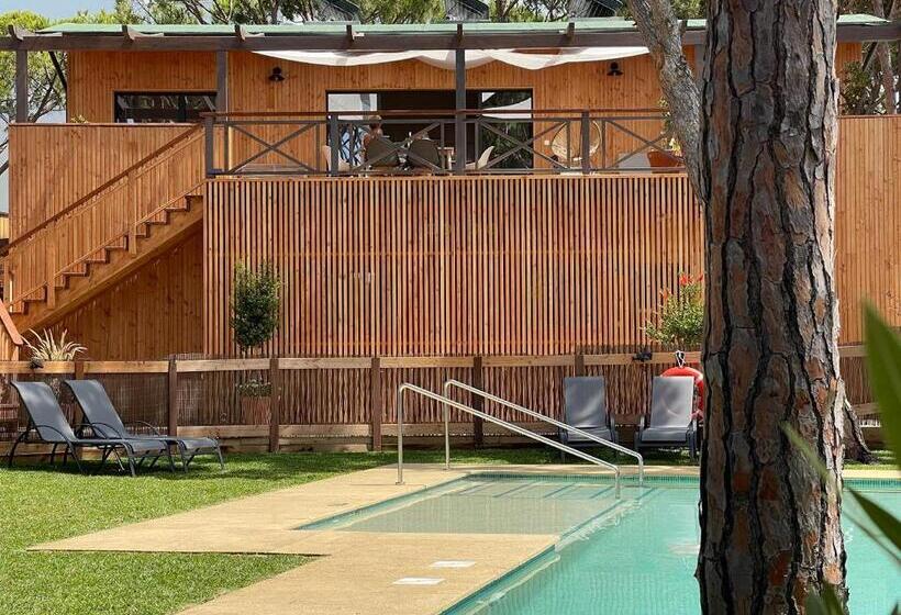 آپارتمان 1 خوابه همکف, Nuevos Apartamentos Biopasivos Living Pura Madera