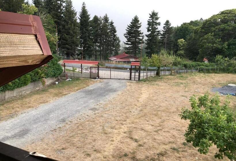 2ベッドスイートルーム, Villa Paradiso