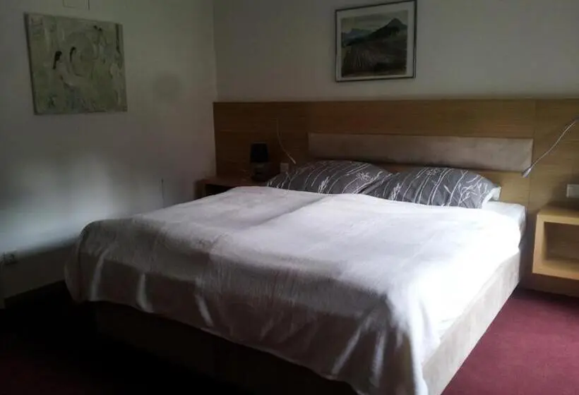 Deluxe-huone, Gesundheitshaus Hohnstein