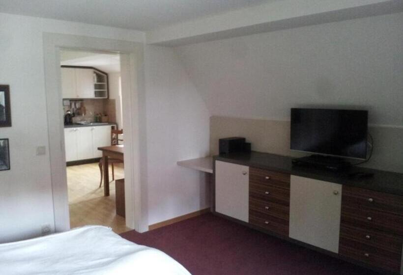 Номер Deluxe, Gesundheitshaus Hohnstein