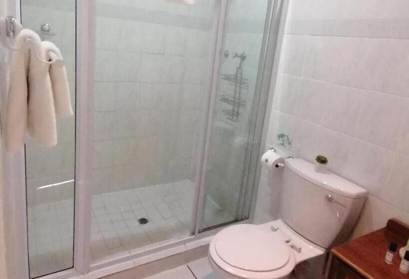 غرفة أساسية, Casa Romana B&b