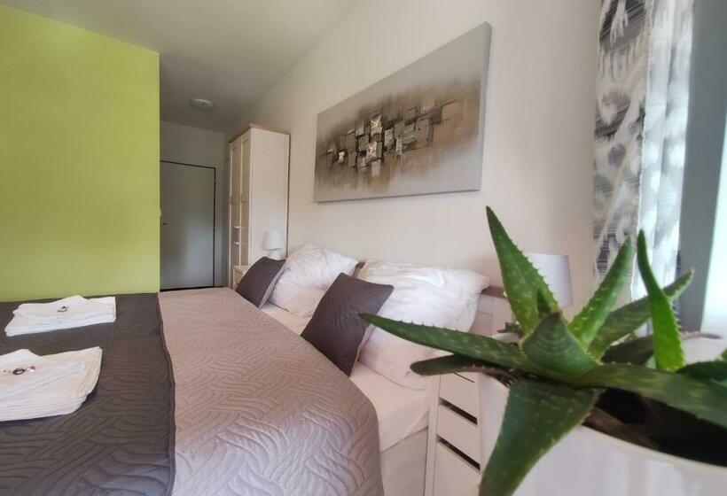 غرفة قياسية مزوَّدة بتراس, Penzion Wellness Chechluvka