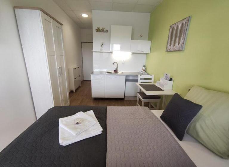 غرفة قياسية فردية, Penzion Wellness Chechluvka