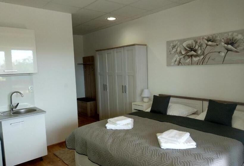 Номер Стандарт с Террасой, Penzion Wellness Chechluvka