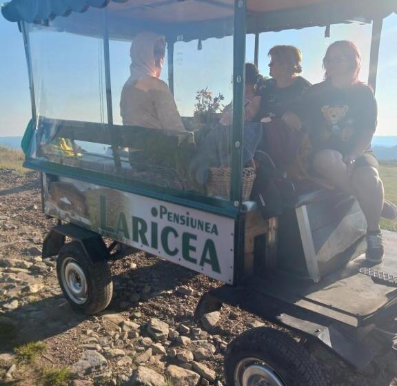 Номер Стандарт, Pensiunea Laricea