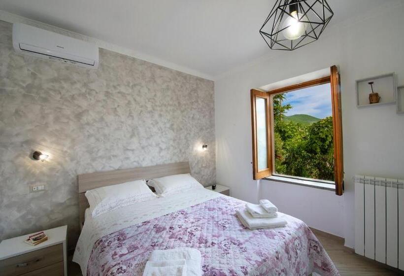 חדר סטנדרט, Hedèrarooms