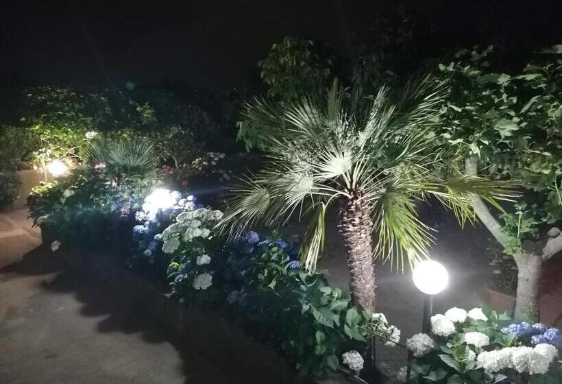 חדר סטנדרט, Hedèrarooms