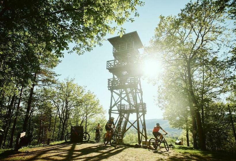 スタンダードルーム, â Vî Molin