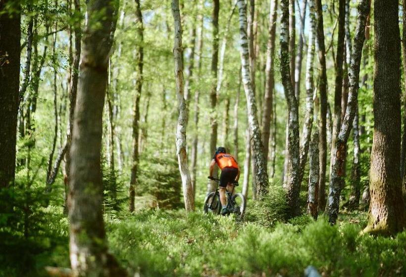 スタンダードルーム, â Vî Molin