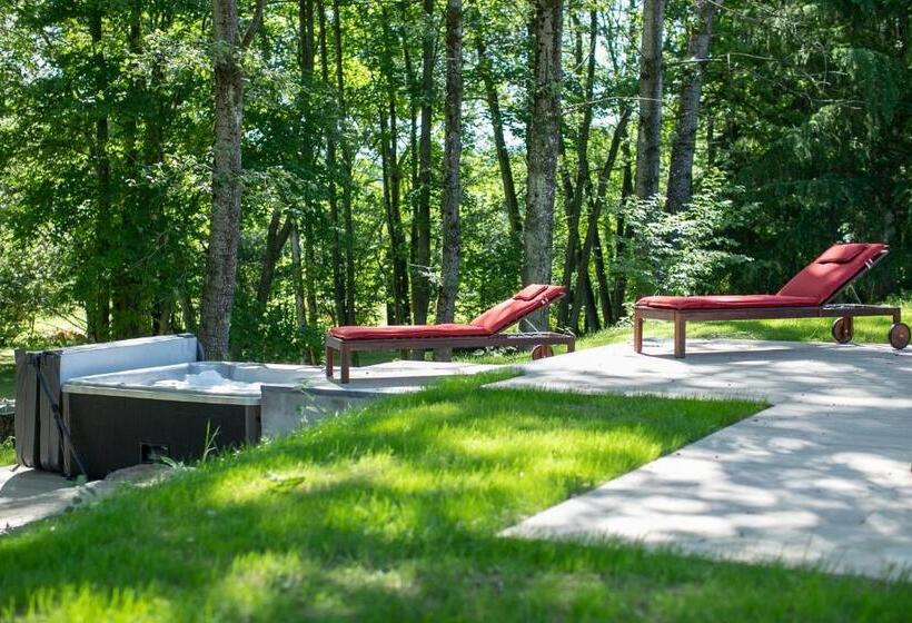 スタンダードルーム, â Vî Molin