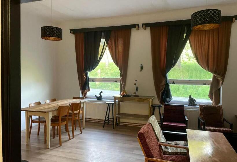 Standard Szoba, Doly 4