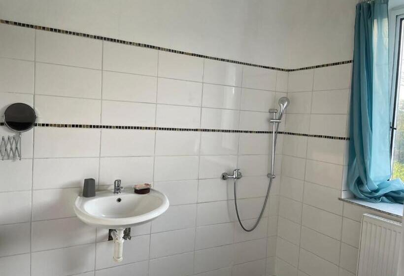 Mozgáskorlátozott Standard Szoba, Doly 4