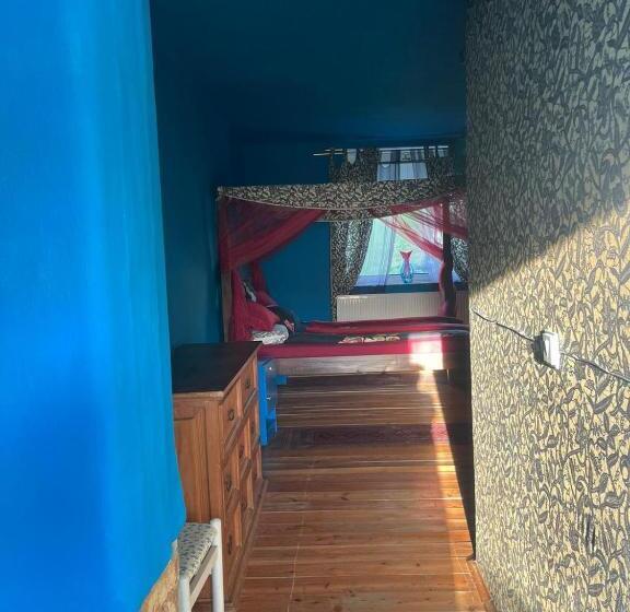 Standard Szoba, Doly 4