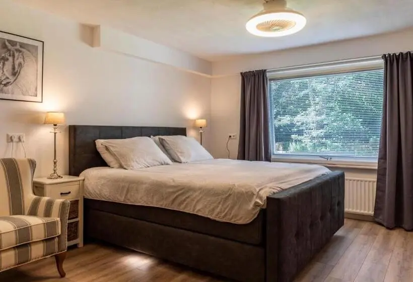 デラックスルーム, B&b Eikendreef