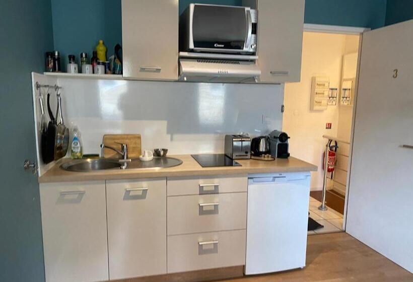 شقة سوبريور غرفة واحدة, Ecolodge Appartements 2 Pièces Cosy Gare
