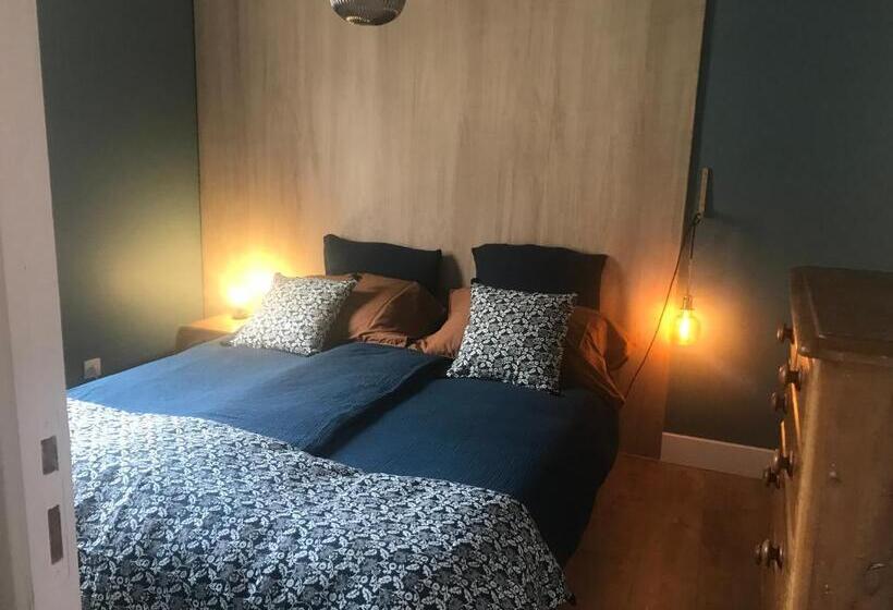 Апартаменты Superior 1 Спальня, Ecolodge Appartements 2 Pièces Cosy Gare