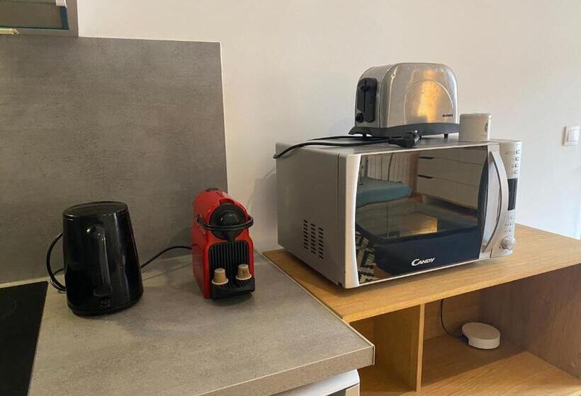 Апартаменты Deluxe 1 Спальня, Ecolodge Appartements 2 Pièces Cosy Gare