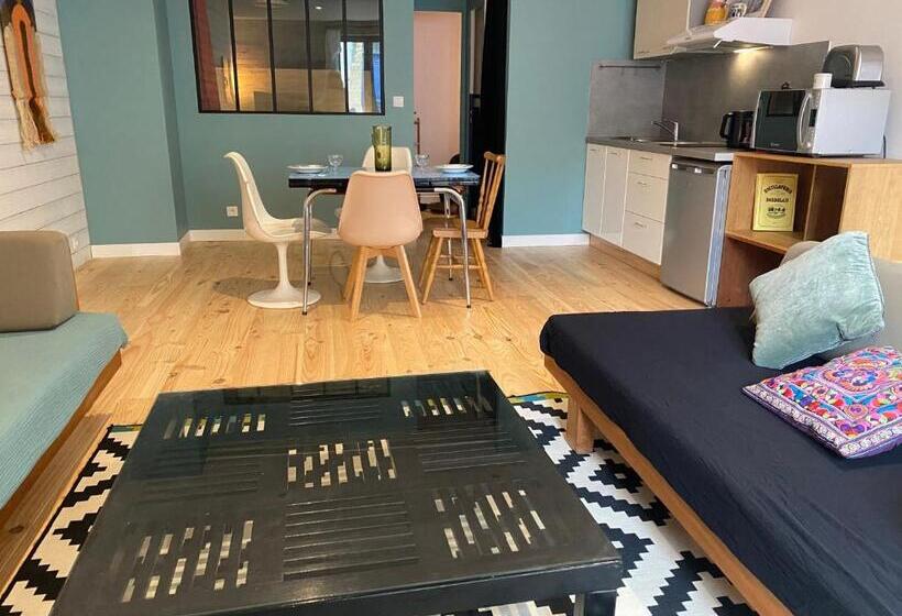 شقة ديلوكس غرفة واحدة, Ecolodge Appartements 2 Pièces Cosy Gare