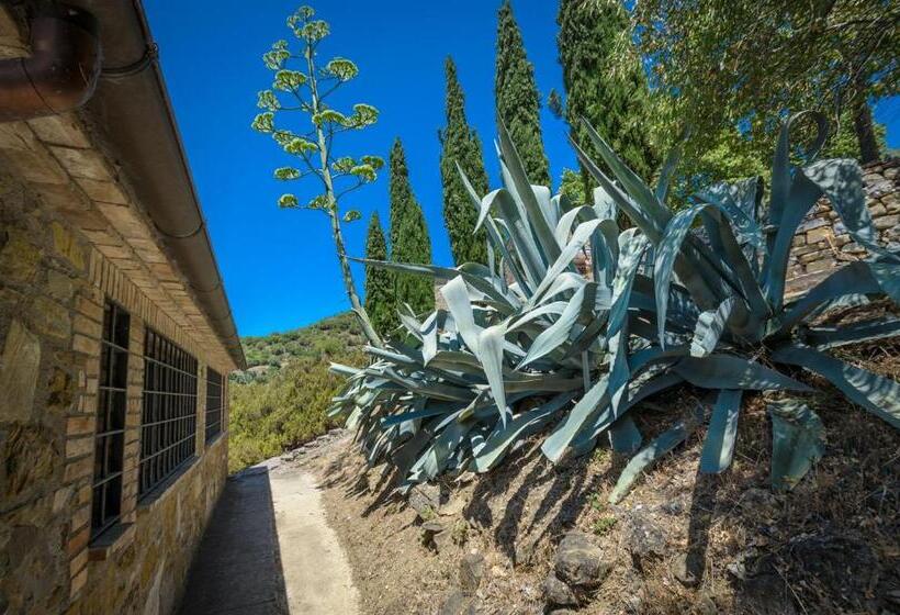 1 Bedroom Apartment Lake View, Poloturisticoumbria Rustico Con Piscina Vista Lago