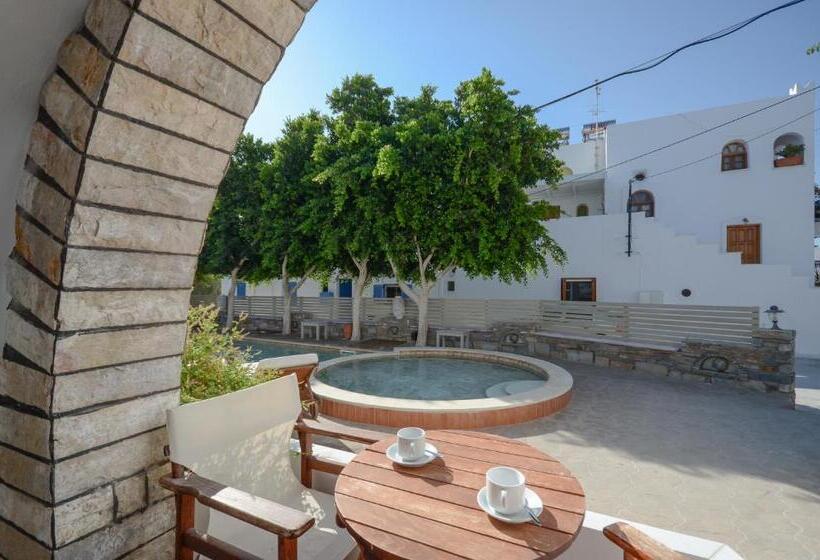 Номер Economy, Dimitra