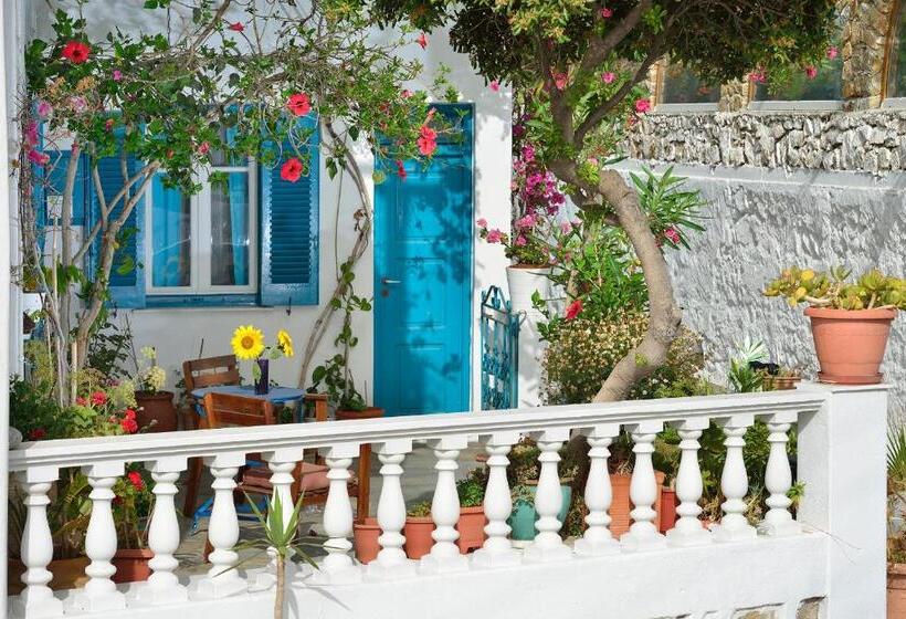 Номер Стандарт, Nazos 1