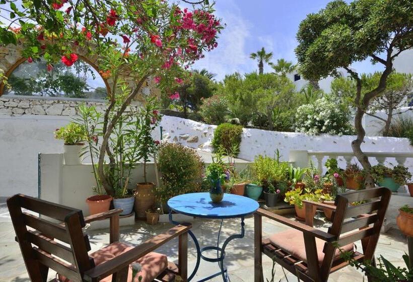 Номер Стандарт, Nazos 1