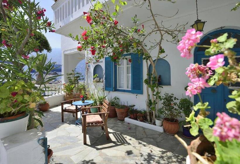 Номер Стандарт, Nazos 1