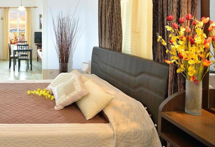 Студия Стандарт Вид на Море, Nazos 1