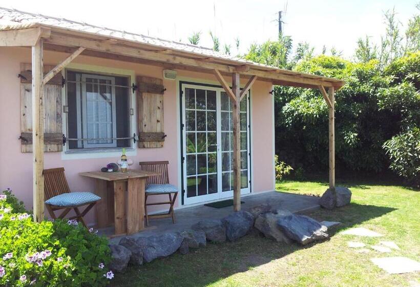 סטודיו סטנדרטי נוף לים, Faial Cottage B&b