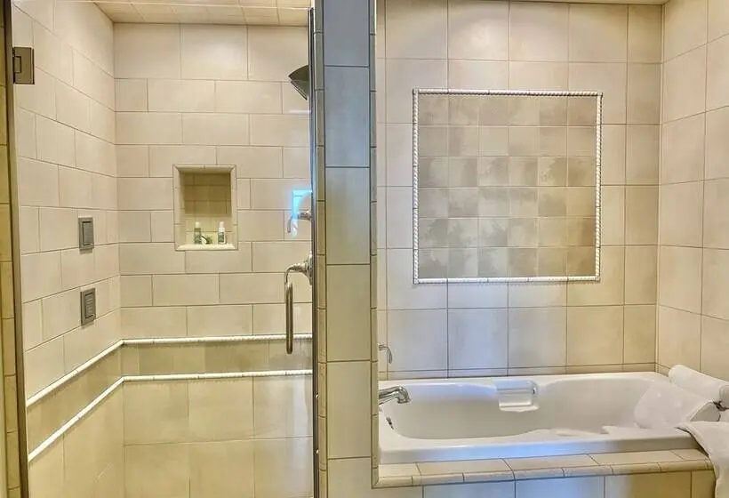 身障者適用スイートルーム, Anderson Inn