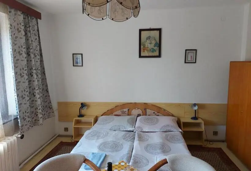 Classic Neljän Hengen Huone, Pension Maan