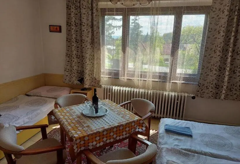 Classic Neljän Hengen Huone, Pension Maan