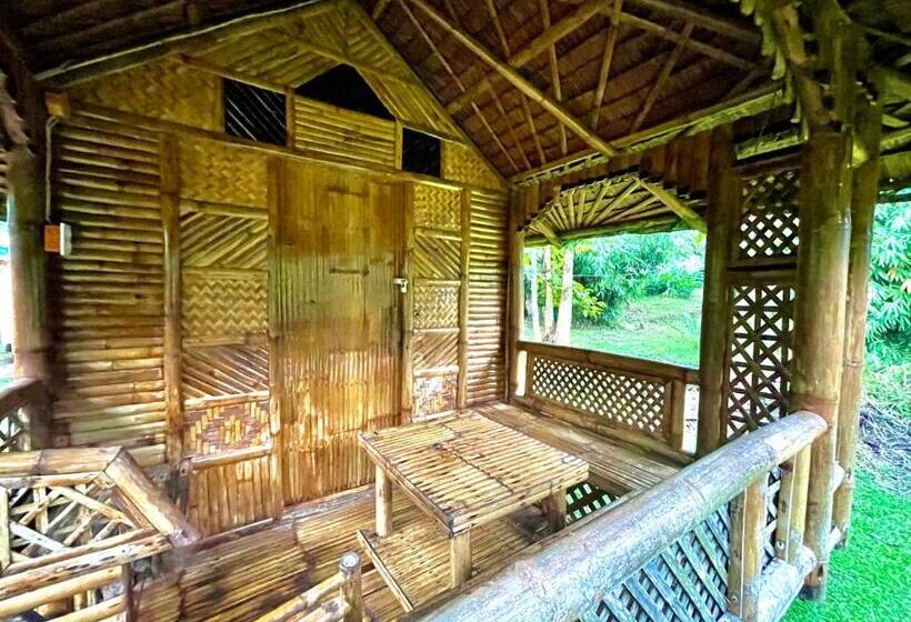 이코노미 룸, Blue Moon Guesthouse