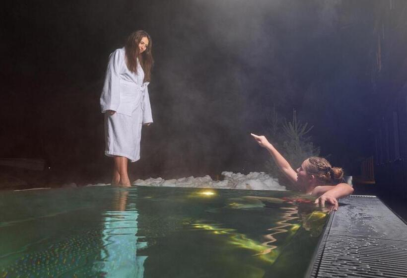 شاليه سوبيريور غرفة نوم واحدة, Berghaus Schröcken   Hotel Apartments Spa