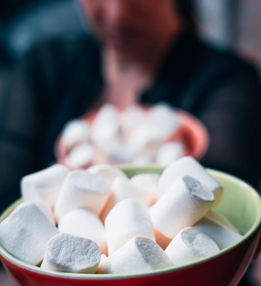 스탠다드 스튜디오, Lapianta