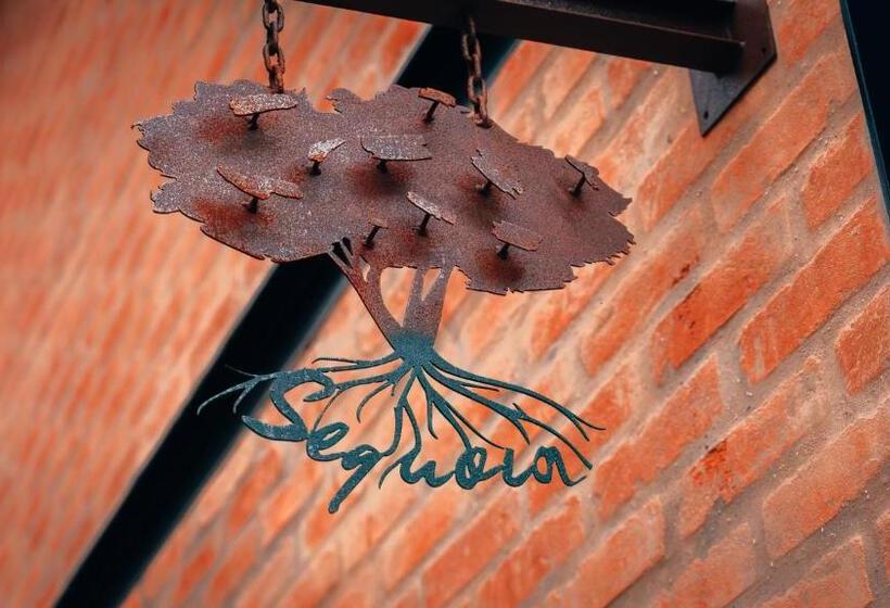 스탠다드 스튜디오, Lapianta