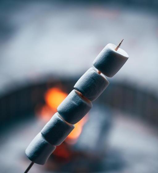 스탠다드 스튜디오, Lapianta