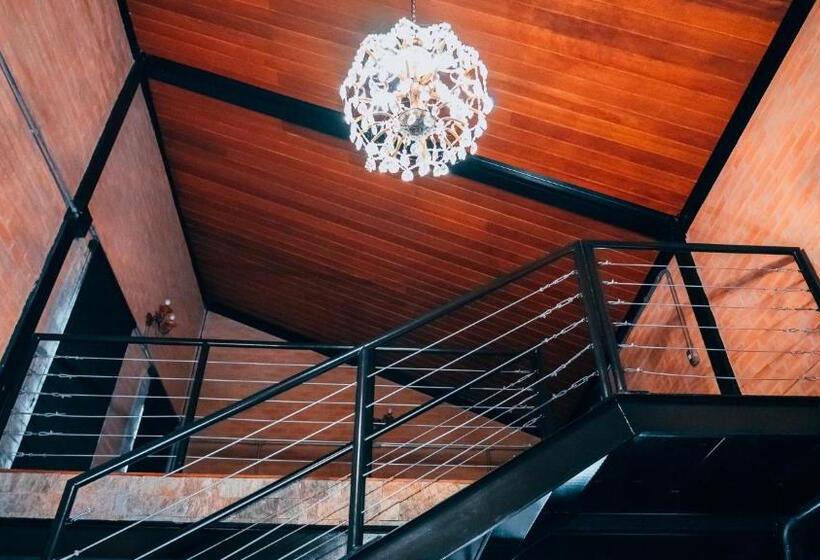 스탠다드 스튜디오, Lapianta