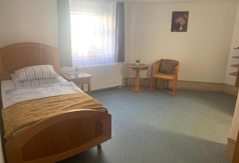 标准单人间, Szelim Motel