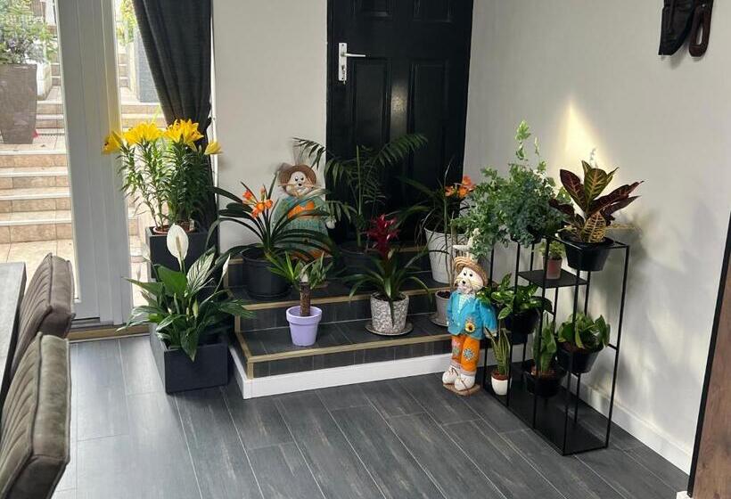 חדר דחוקס עם מיטת קינג, B&b Prachtig Allemachtig