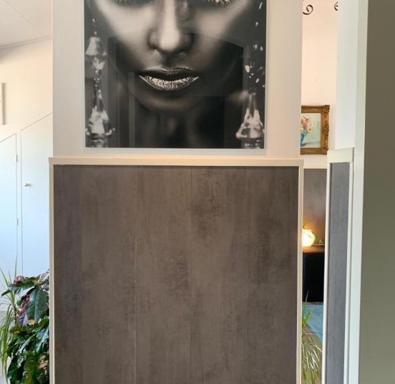 חדר דחוקס עם מיטת קינג, B&b Prachtig Allemachtig