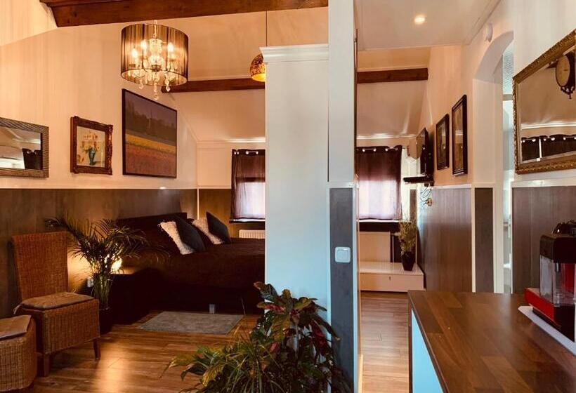 חדר דחוקס עם מיטת קינג, B&b Prachtig Allemachtig