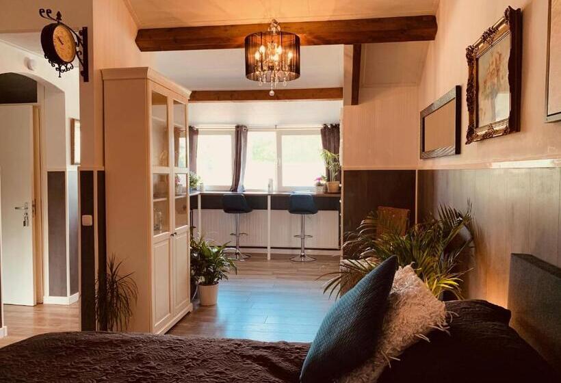 חדר דחוקס עם מיטת קינג, B&b Prachtig Allemachtig