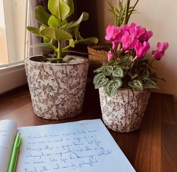 חדר דחוקס עם מיטת קינג, B&b Prachtig Allemachtig