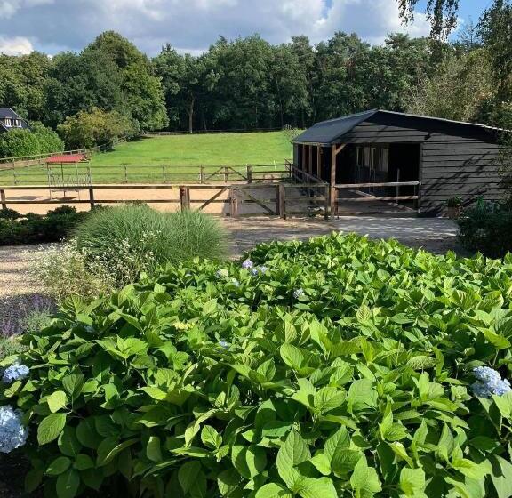 Номер Стандарт Вид на Сад, Bed And Breakfast De Paalberg