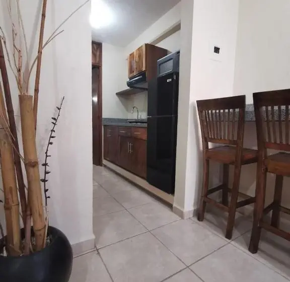 آپارتمان 1 خوابه با بالکن, Habitaciones Del Pacifico